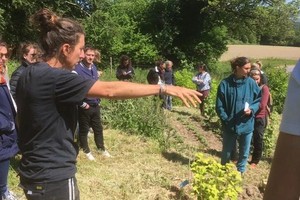 La Forêt Jardin du Robin