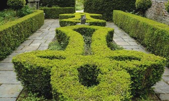 Neurodon au Jardin en Ville
