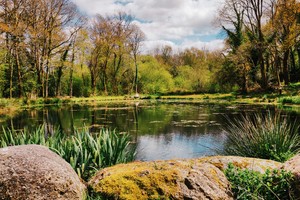 La Vallée des Bambous
