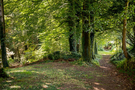 Manoir de Logueltas