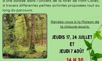 l’Appel du sauvage
